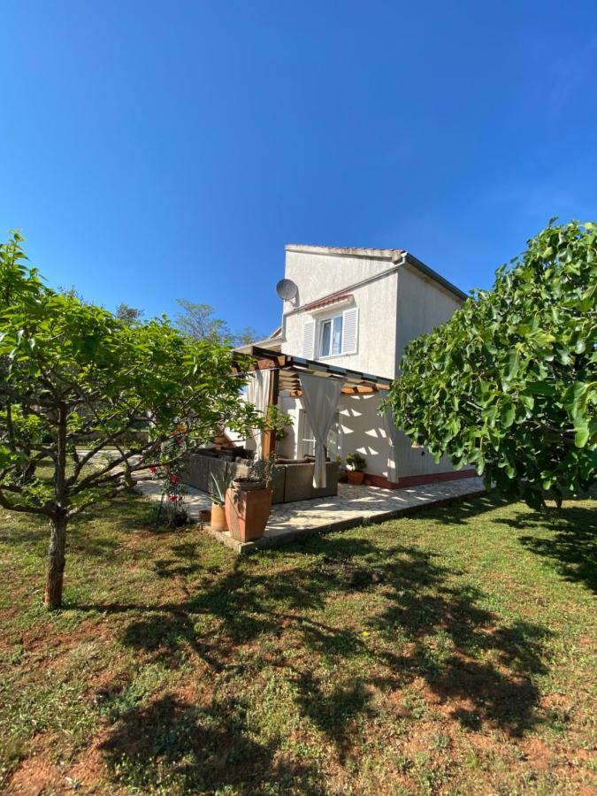 Beautiful Island House Ugljan Apartment Luaran gambar